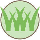 Overgrown Lawn Service Pros