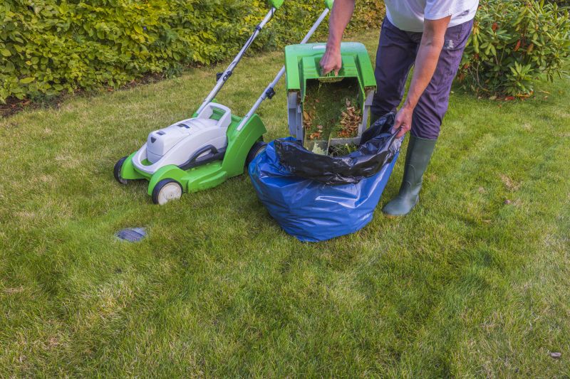 Overgrown Lawn Service