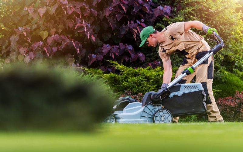 Overgrown Lawn Service