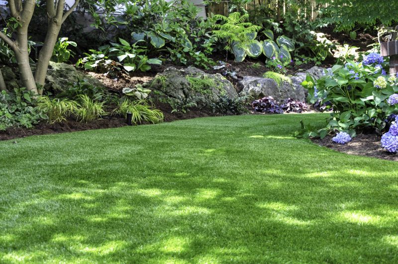 Overgrown Lawn Service