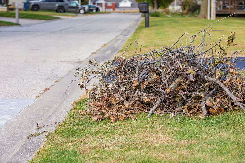 Debris and Fallen Branches