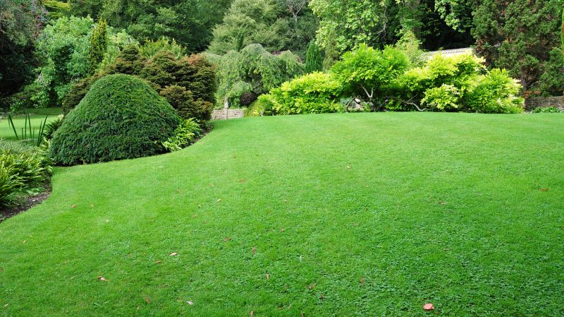 Healthy Lawn After Service
