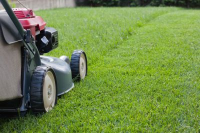 Seasonal Lawn Maintenance