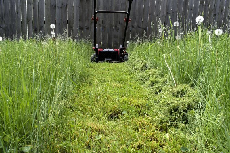 Overgrown Lawn Service
